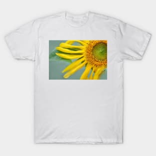 Floral Pinwheel T-Shirt